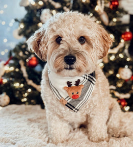 LAST CHANCE! ugly sweater asher plaid dog bandana