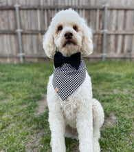 Load image into Gallery viewer, houndstooth letterman dog bandana
