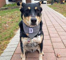 Load image into Gallery viewer, houndstooth dog bandana
