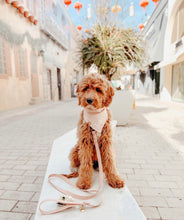 Load image into Gallery viewer, pink starburst gauze dog bandana
