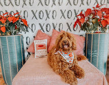 Load image into Gallery viewer, furever love dog bandana
