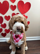 Load image into Gallery viewer, cupid&#39;s plaid dog bandana
