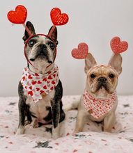 Load image into Gallery viewer, lovestruck dog bandana
