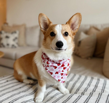 Load image into Gallery viewer, lovestruck dog bandana
