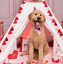 Load image into Gallery viewer, lovestruck dog bandana
