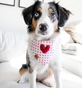 retro hearts dog bandana