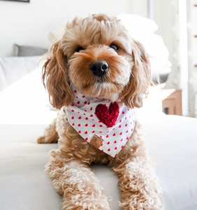 retro hearts dog bandana