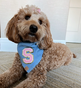 light denim pink varsity sherpa letterman dog bandana (XS, S, S/M, M)