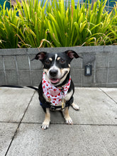 Load image into Gallery viewer, lovestruck dog bandana
