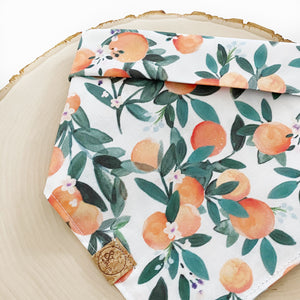 dear clementine dog bandana