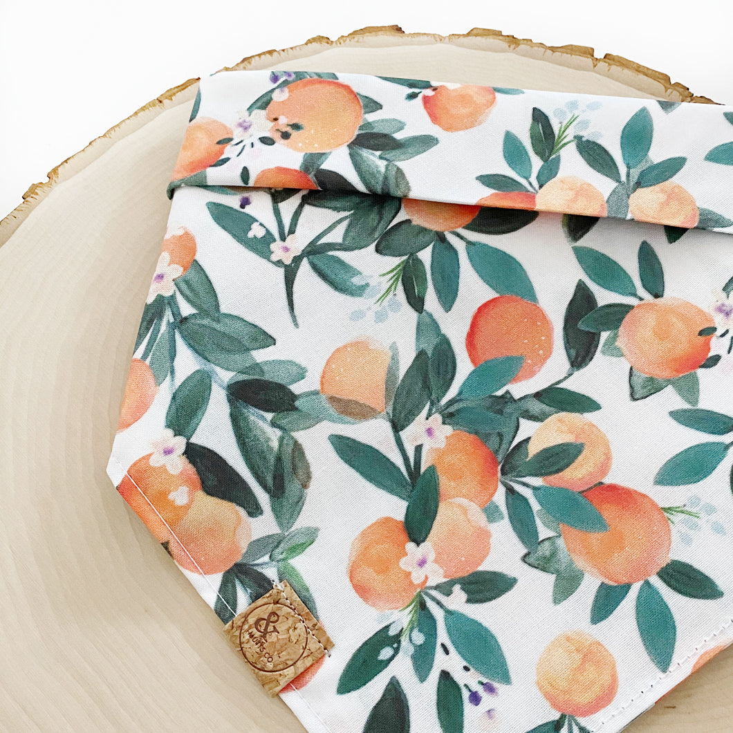 dear clementine dog bandana