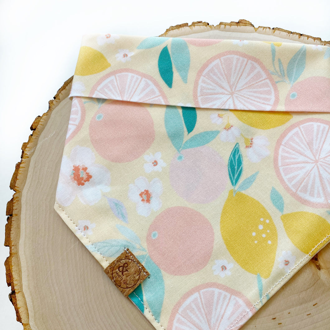sparkling grapefruit dog bandana