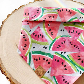 summer melon dog bandana